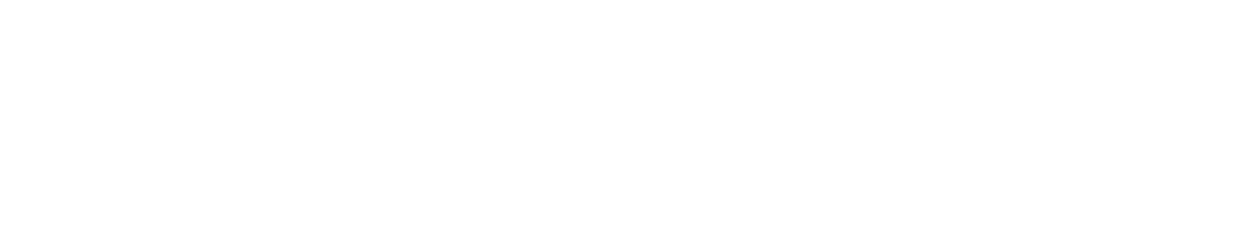 1764720119684-White on Transparent